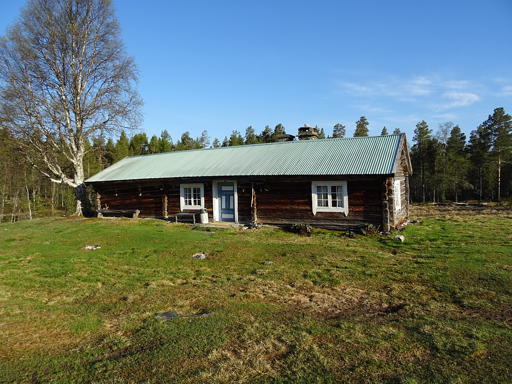 Tolgevollen