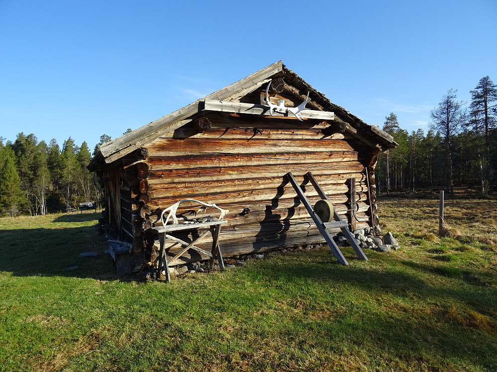 Tolgevollen