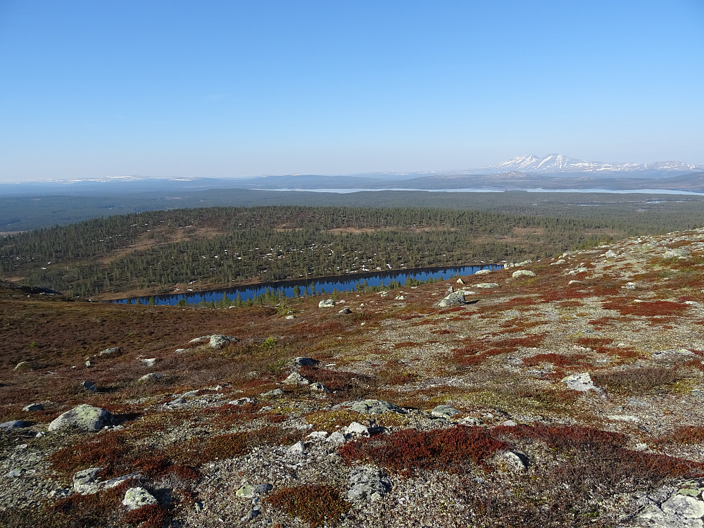 Utsikt mot Åstjønna