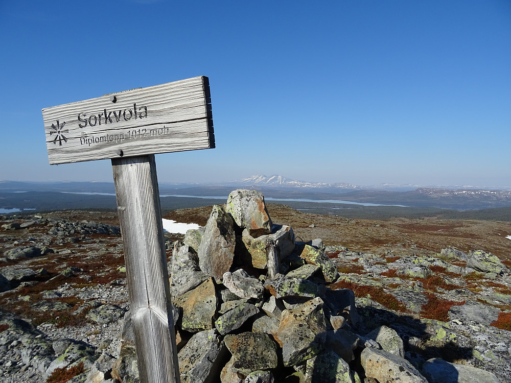 Diplomtoppen av Sorkvola