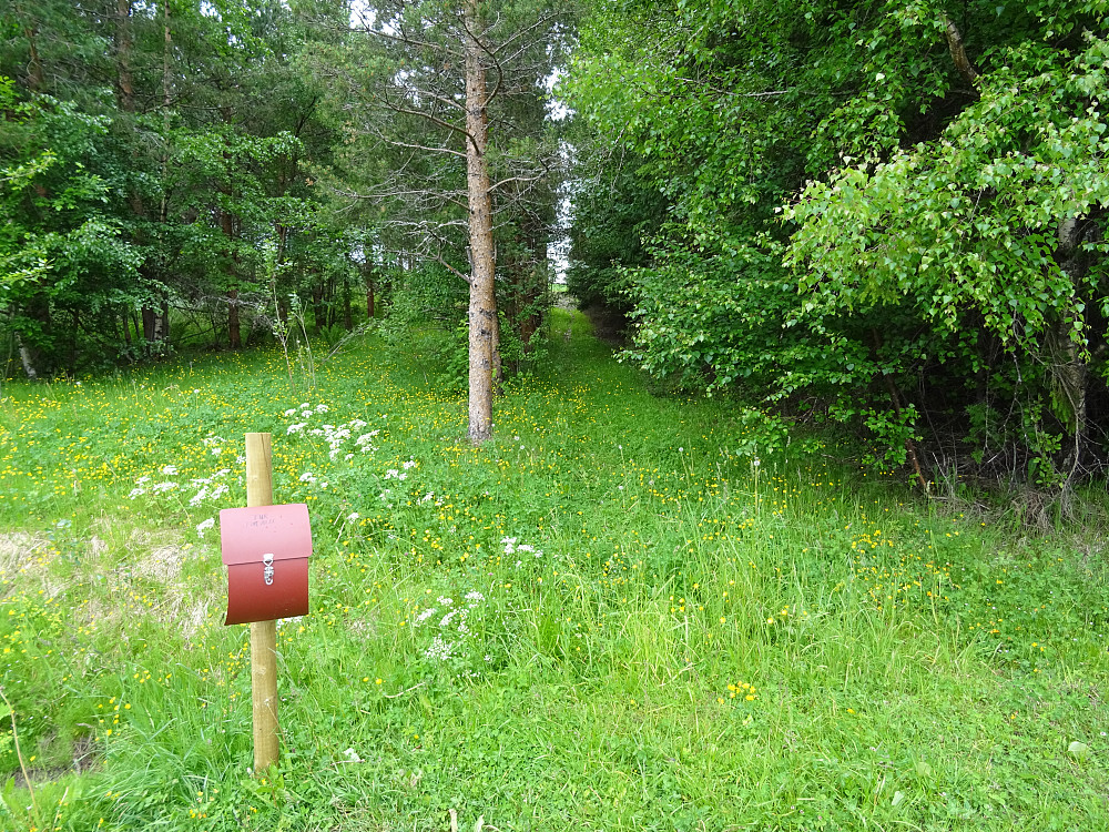 Trimboksen ved Stiklestad Planteskole