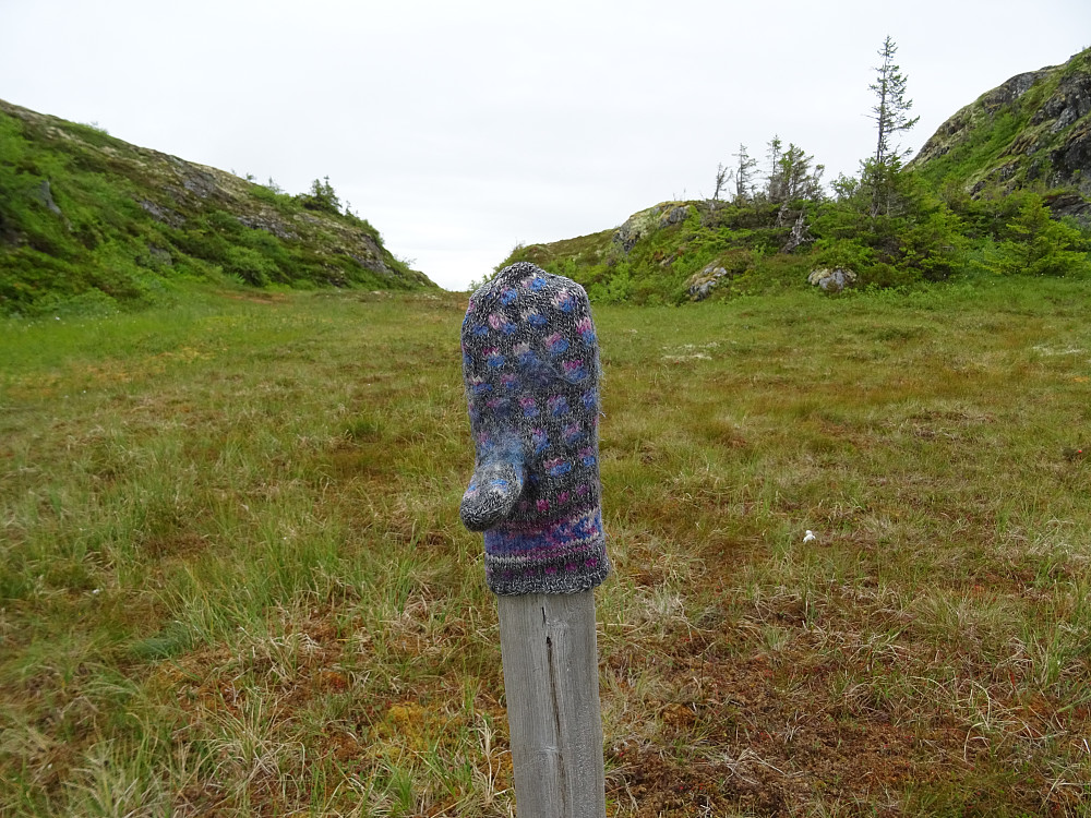Noen har glemt en ullvott av god kvalitet