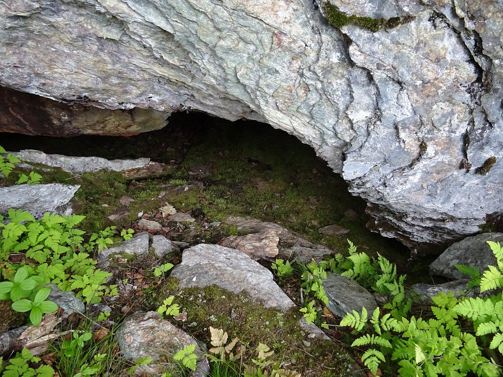 Bjønnhiet (?) ved Hårfjellet