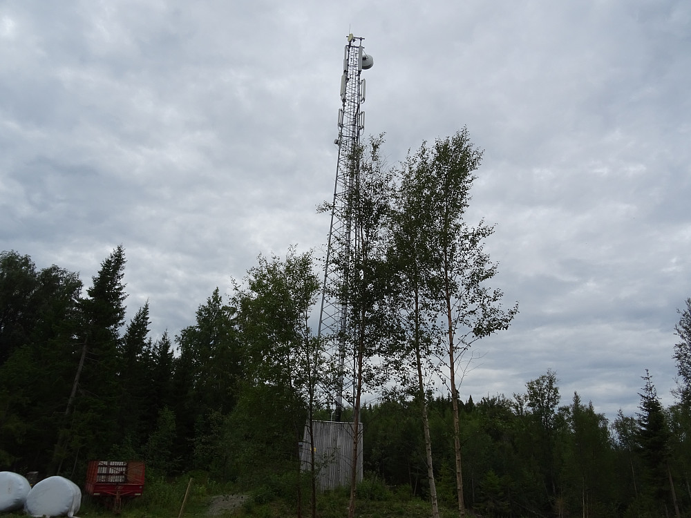 Stor mast like før Kongshåmmåren. (Signaltopp?)