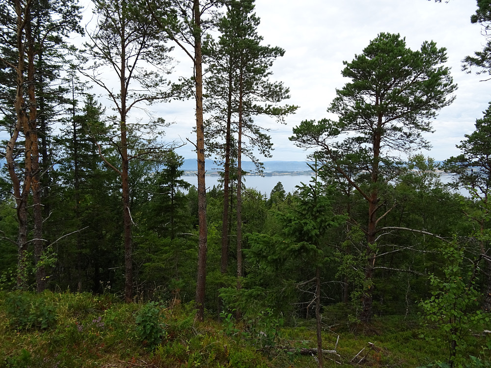 God utsikt fra toppen av Kongshåmmåren