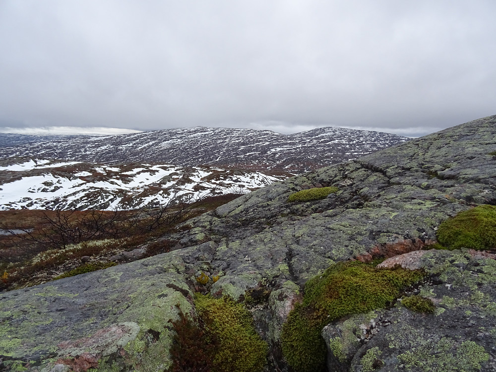Utsikt fra toppen av Nymofjellet NØ