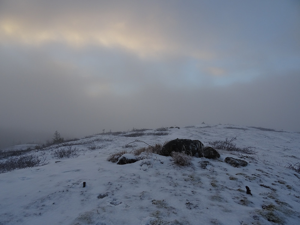 Trigpunktbolten synlig i snøen på toppen av Litlfjellet