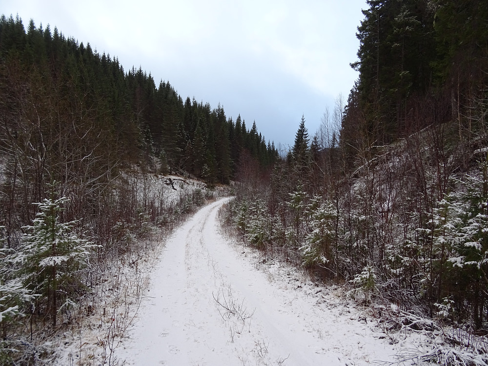 Skogsbilveien mellom Godejorda (FV 74) og Fiskløystjørnin