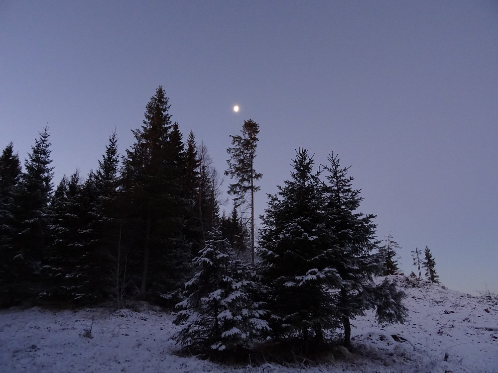 Måne over Gåsknippen