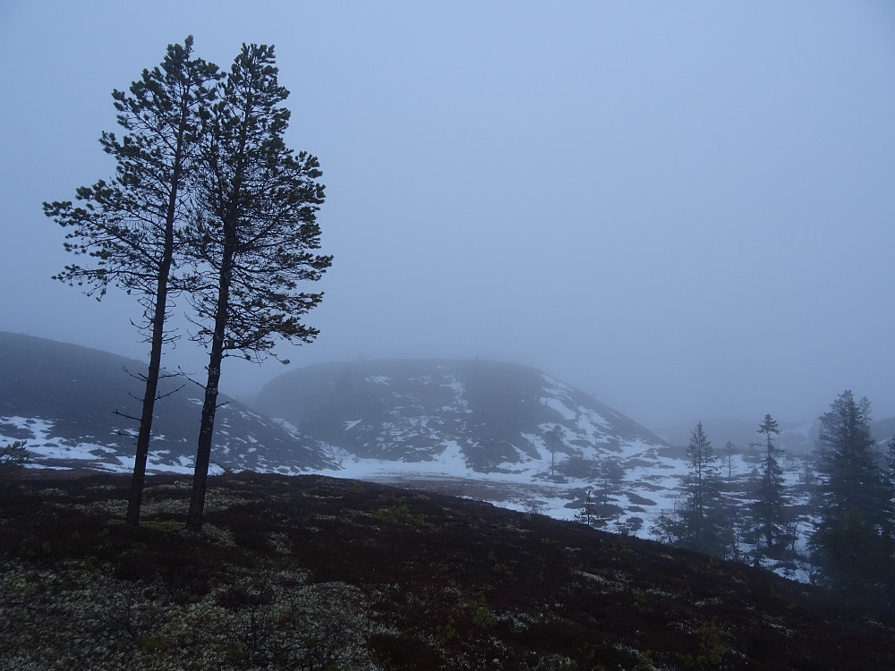 Slettefjellet i midten av bildet