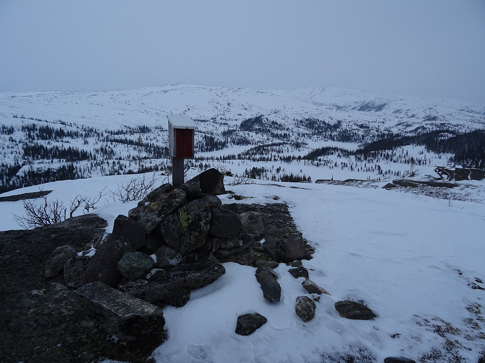 Utsikt mot Grønkleppen (Høyest i NYE NAMSOS KOMMUNE) sett fra Svartåsen