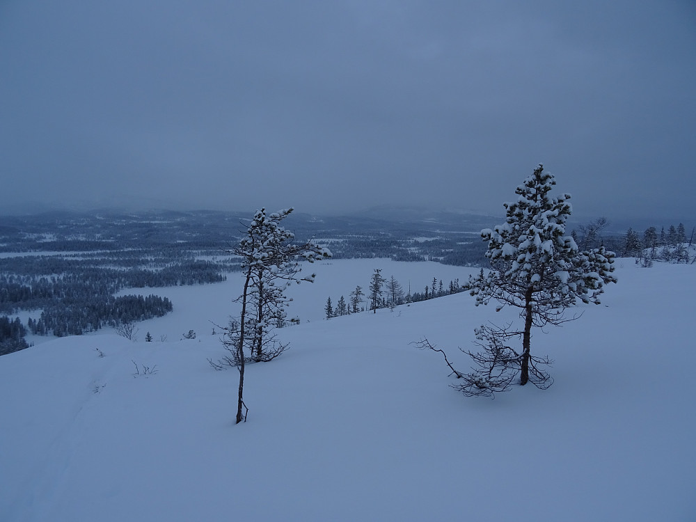 Grøssjøen midt på bildet, sett fra Eidsfjellet