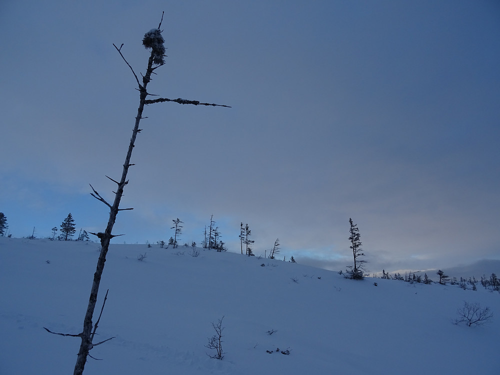 Tilbakeblikk mot Eidsfjellet
