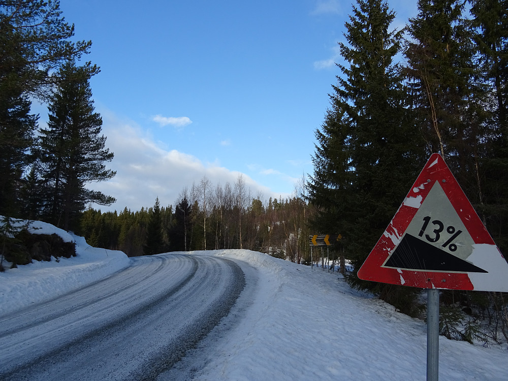 Bratt villmarksvei gjennom Skaunaskogen mot Orkanger