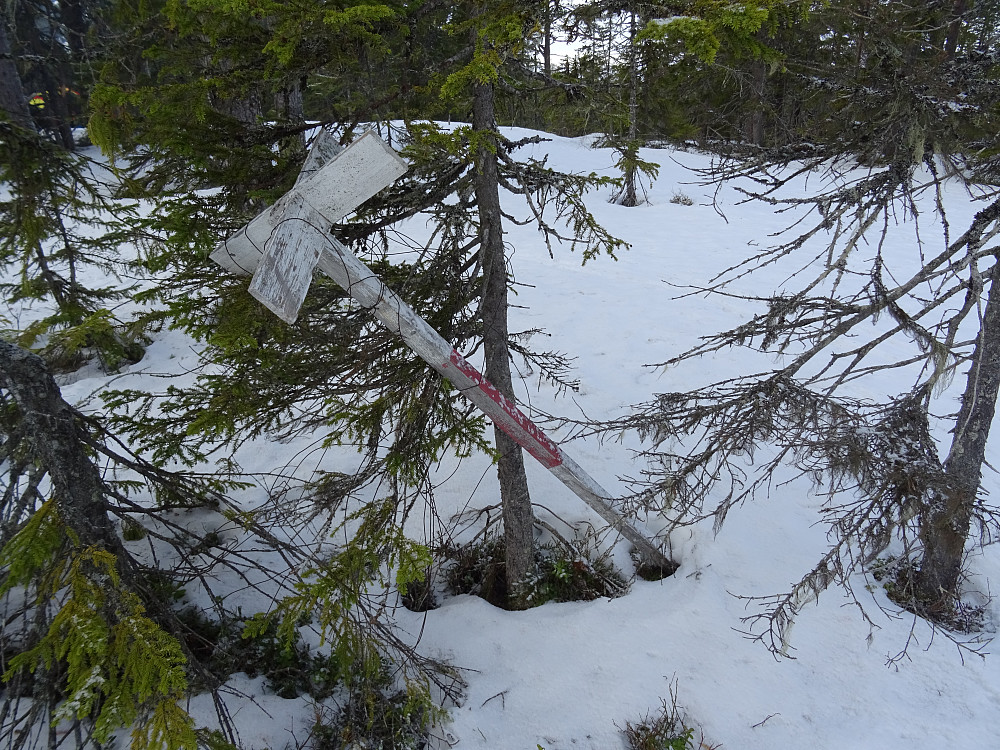 Trigpunktet på Foksetåsen