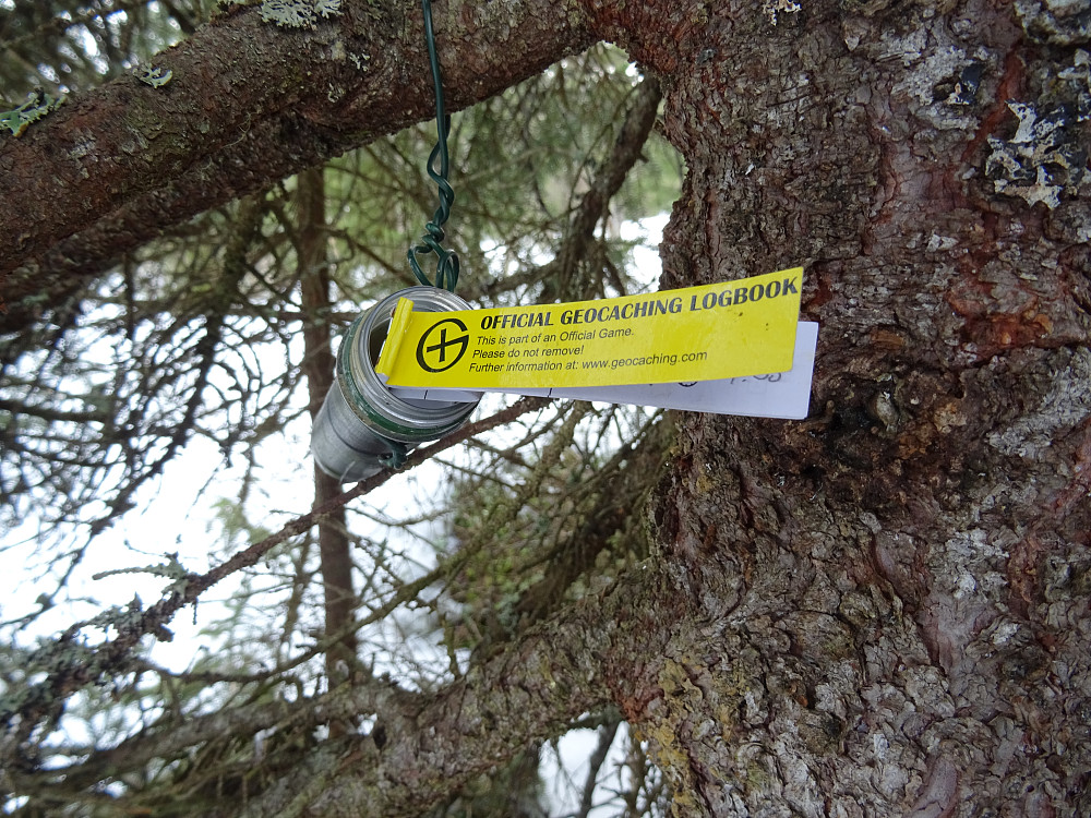 Geocache ved Kjersjøen