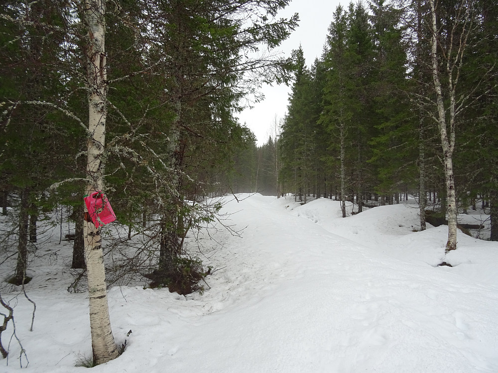 Traktorveien på nordsiden av Øyelva