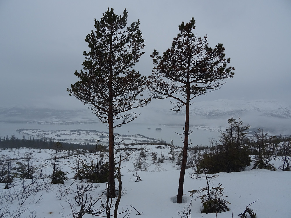 Øyvatnet med halvøya Øye, samt noen småholmer