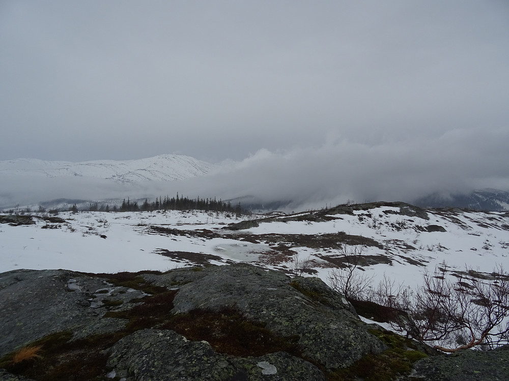 Utsikt fra Jensokfjellet mot kommunetoppen Grønkleppen i vest
