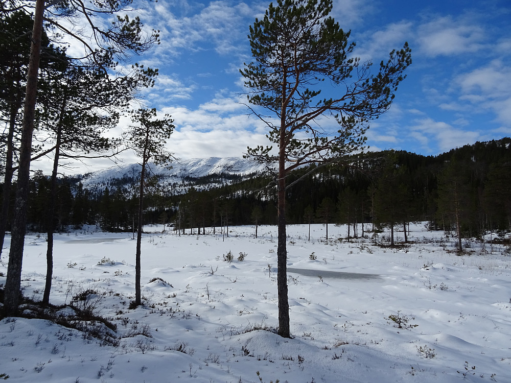 Brattlivatnet med pb-toppen Rindfjellet bak