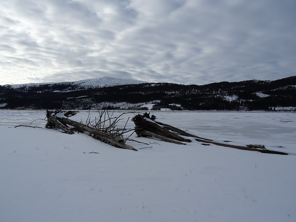 Turen ble avsluttet i fjæresteinan i Dalavika på den islagte fjorden Løgnin