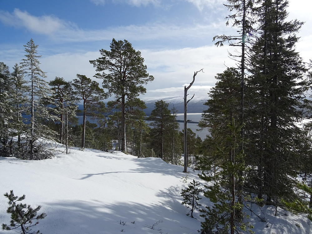 Utsikt fra Høgdin mot Ålnestangen på Snåsavatnet