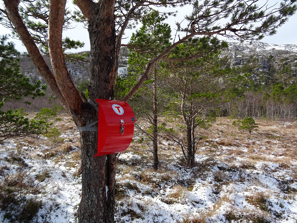 Turistforeningen har en "Din tur" kasse ved Hestmarka. Her forlot jeg stien og satte kursen mot Utvordfjellet