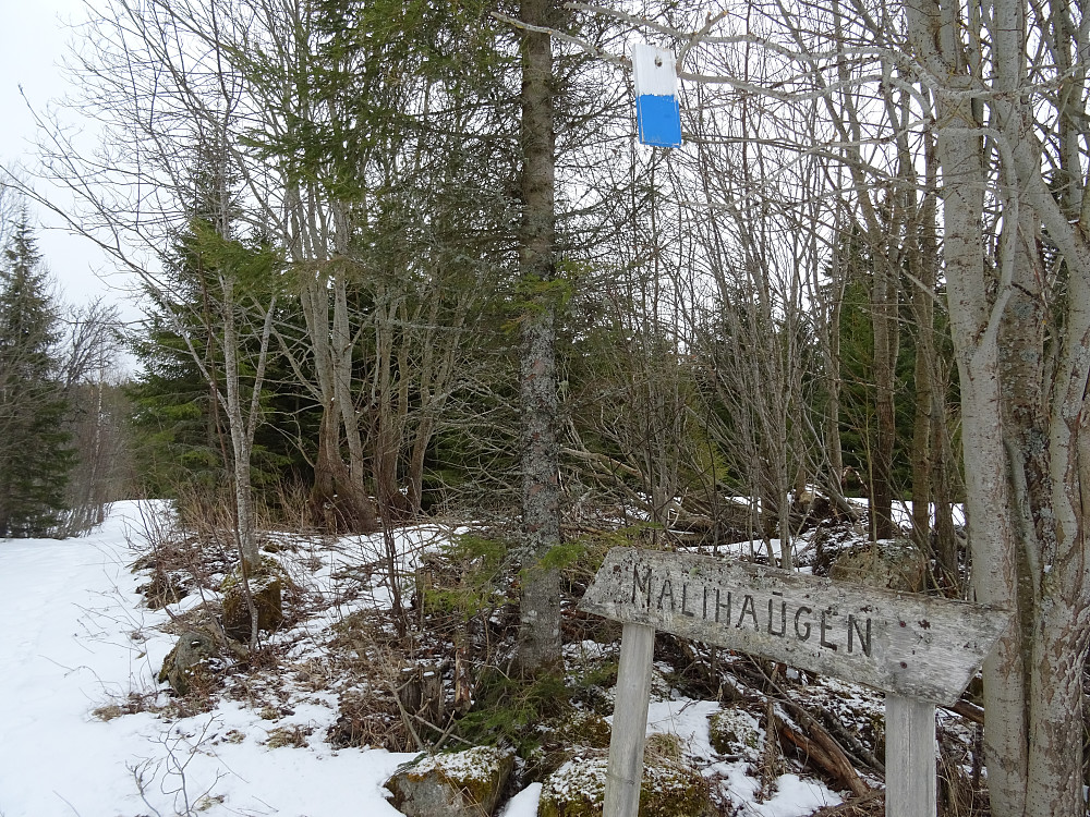 Den spennende stien til Malihaugen