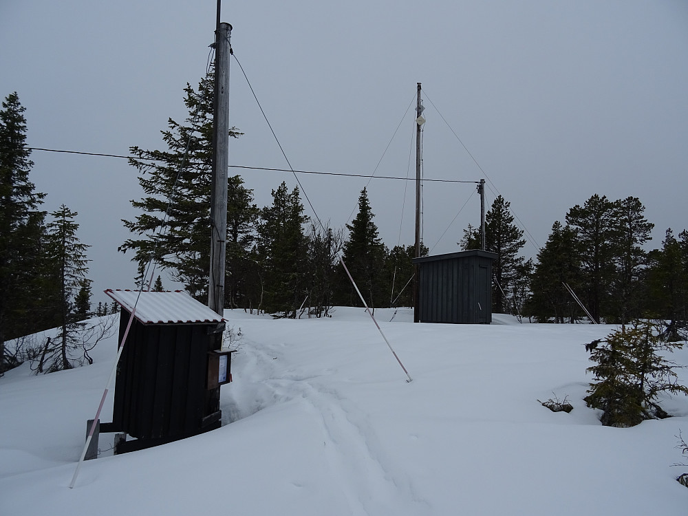 Toppen av Langåsåsen