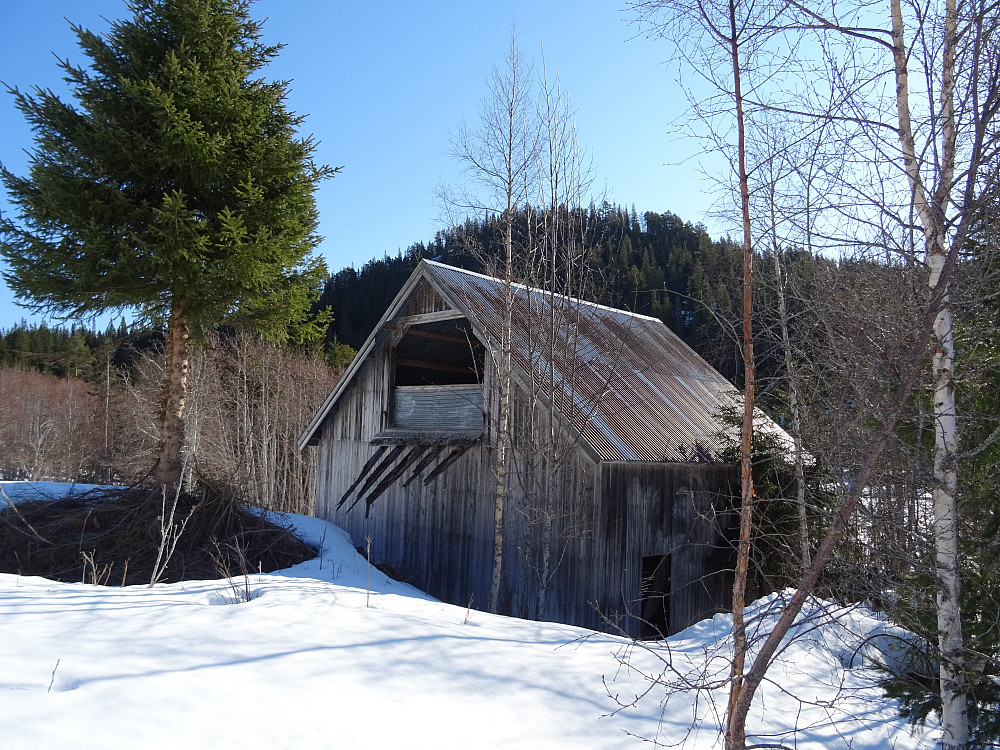 Trotsteinen i bakgrunnen