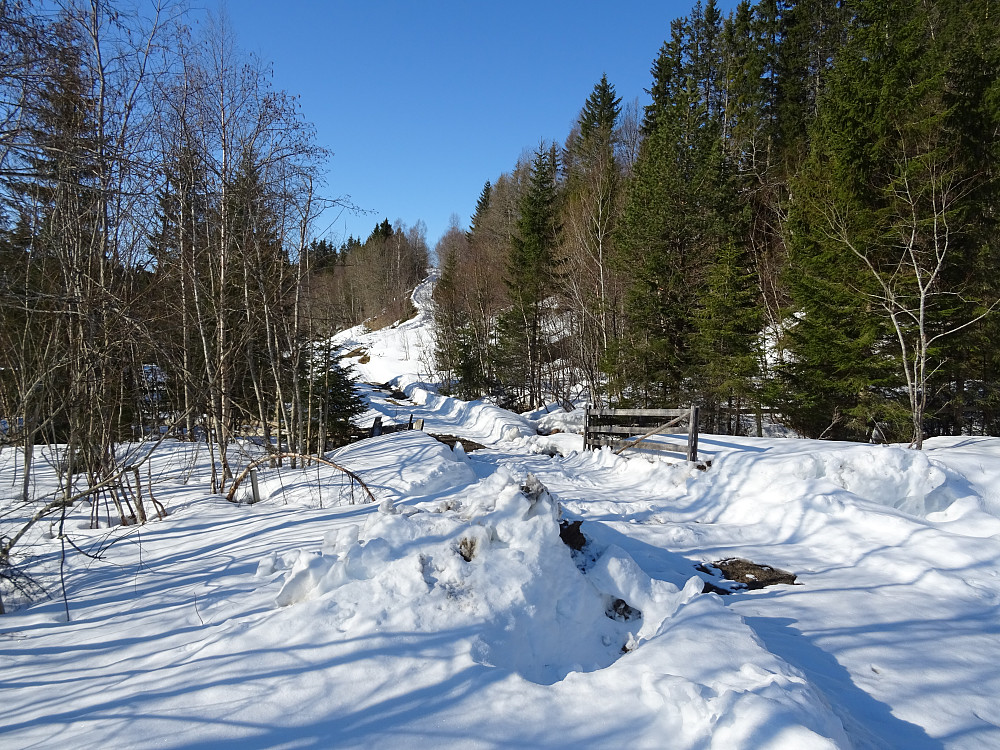 Traktorveien som går fra Trotland