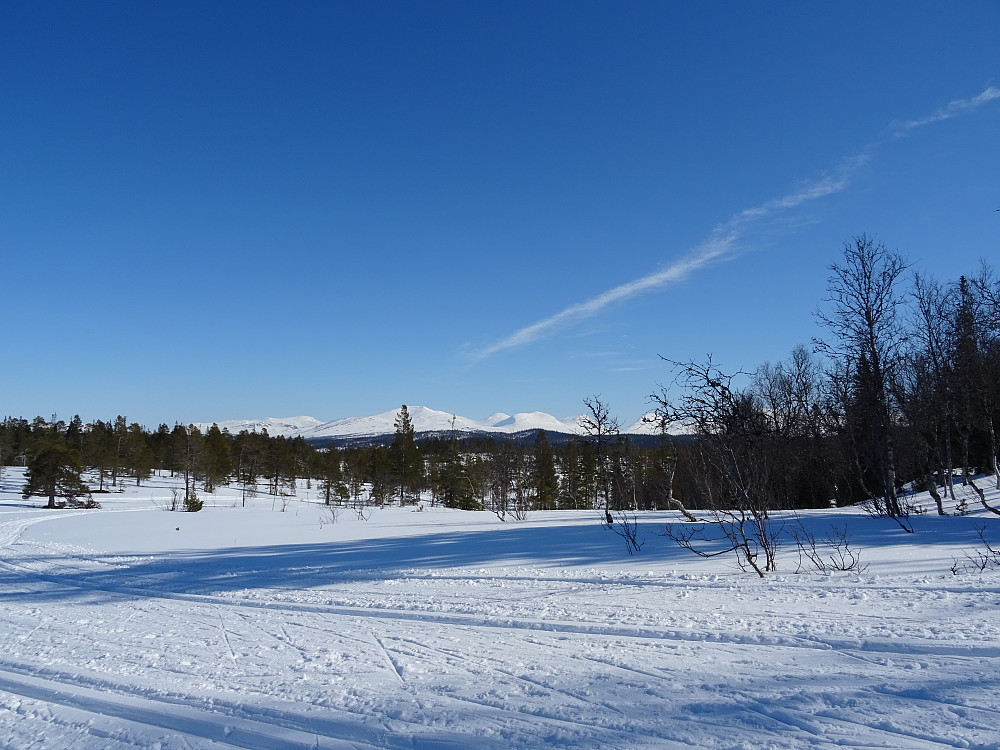 En fantastisk natur ved løypa til Veressjøen rundt