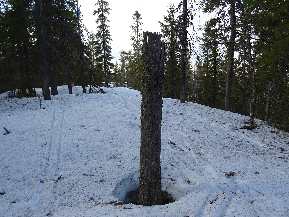 Toppområdet av Agnåsen
