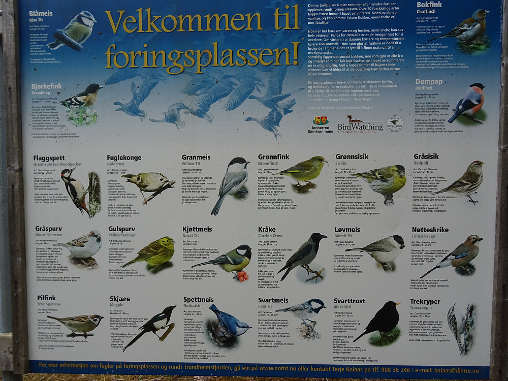 Info om foringsplass for fugler på Ørin Verdal