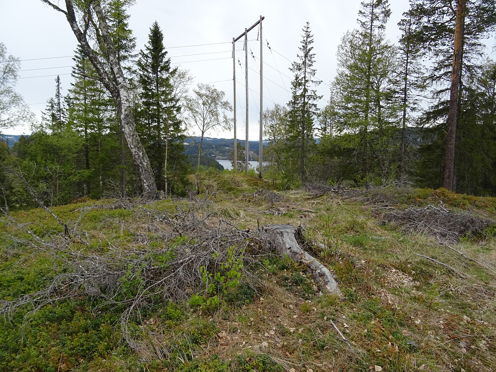 Toppstubben på Loåsen