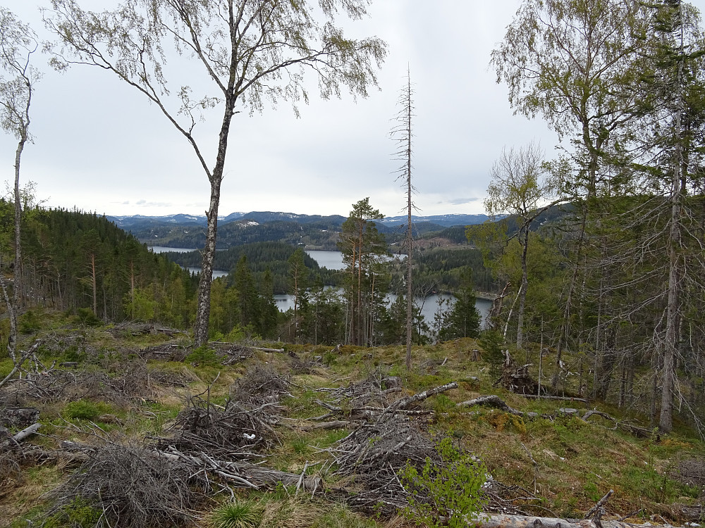 Fin utsikt mot Benna 