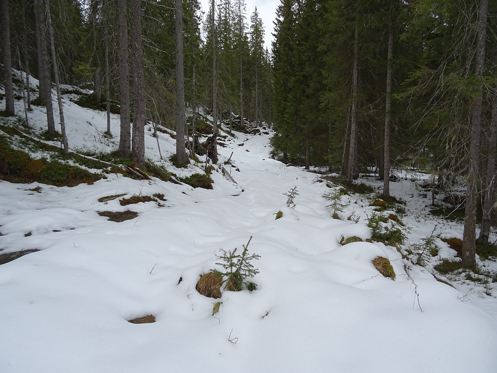 Fremdeles mye snø på traktorveien.