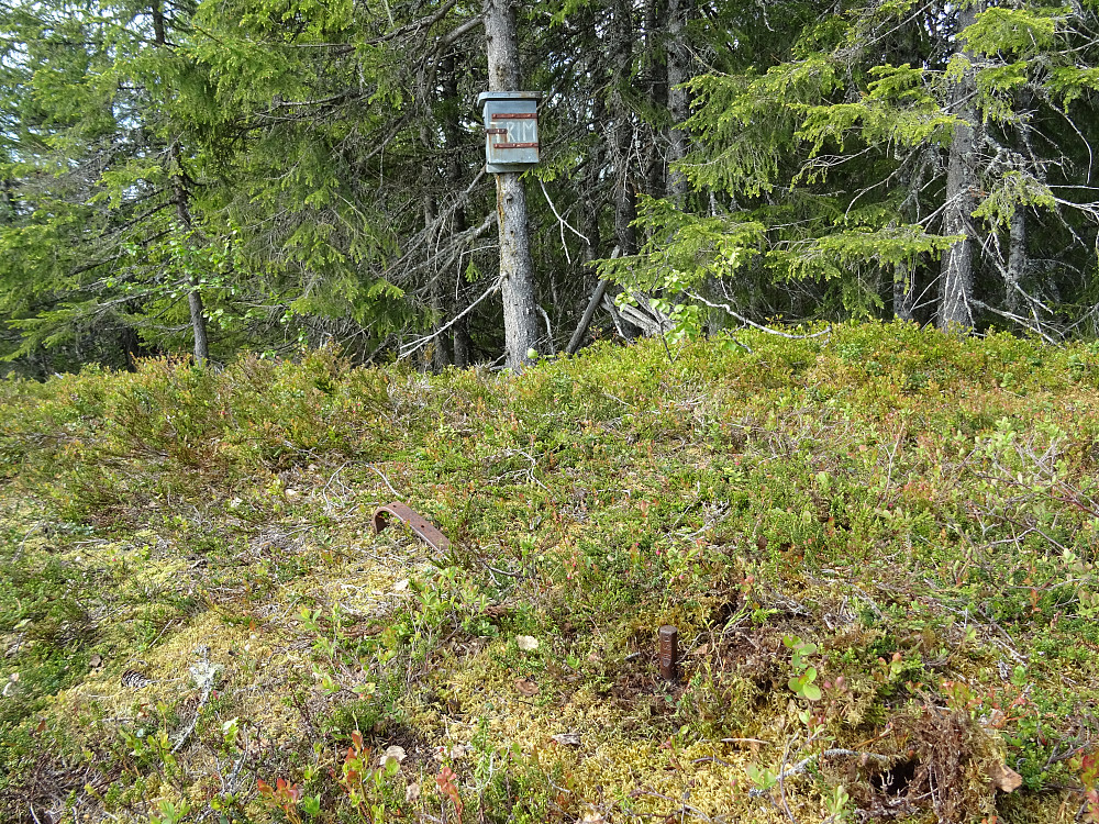 Trigpunktet og trimkassen på Grøtvåttån (520,689 moh)