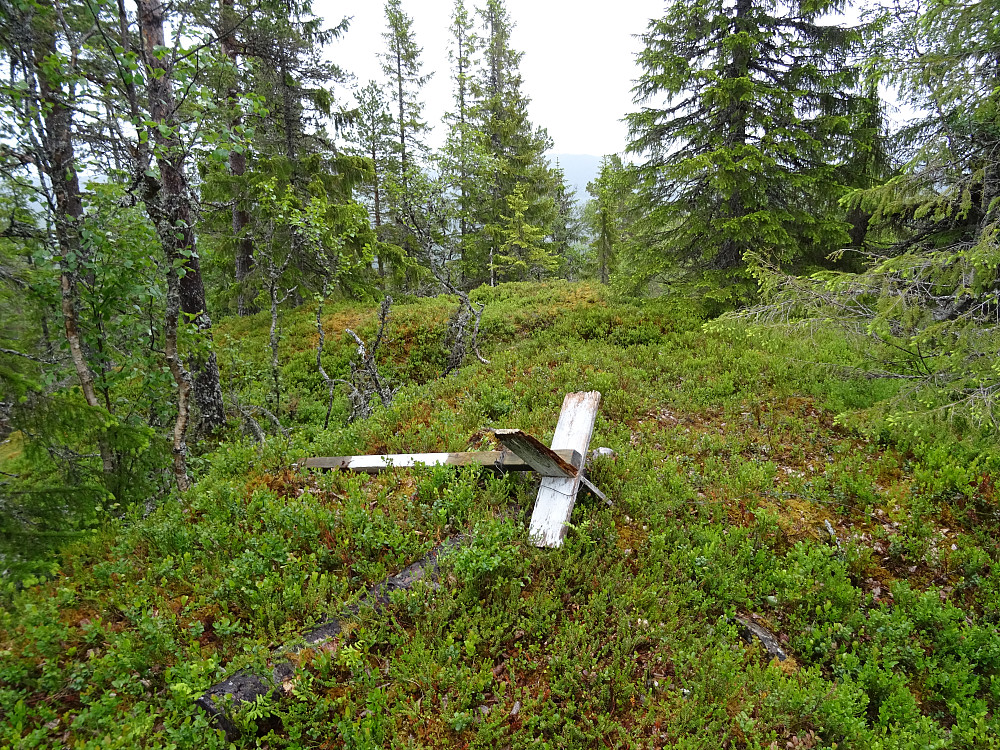 Trigpunktet på Skardberget