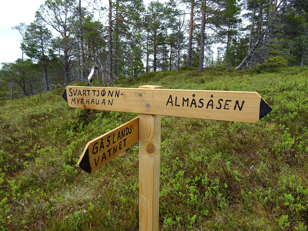 God skilting her like før toppen av Almåsåsen