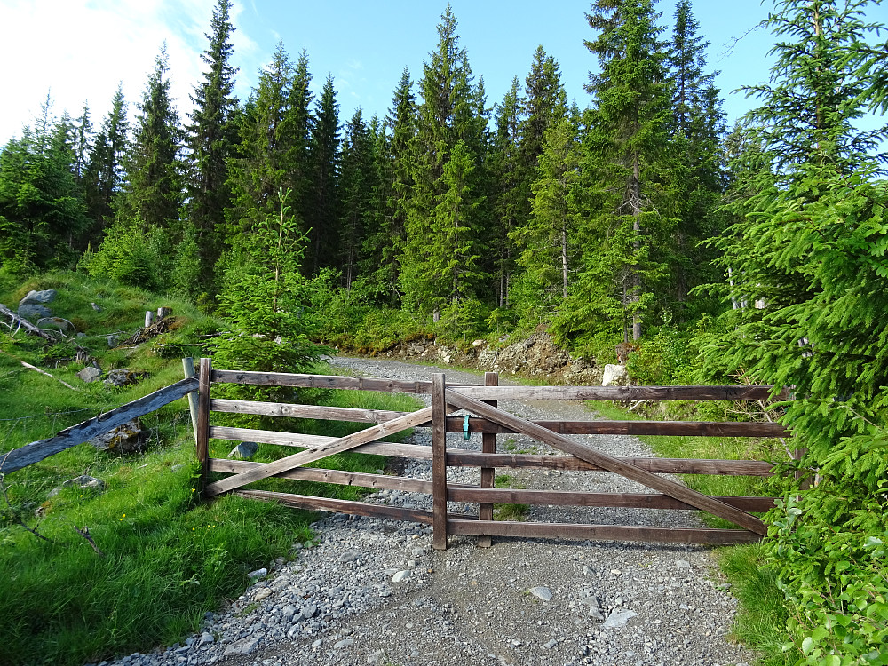 God standard på traktorveien mot Brannsåsåsen