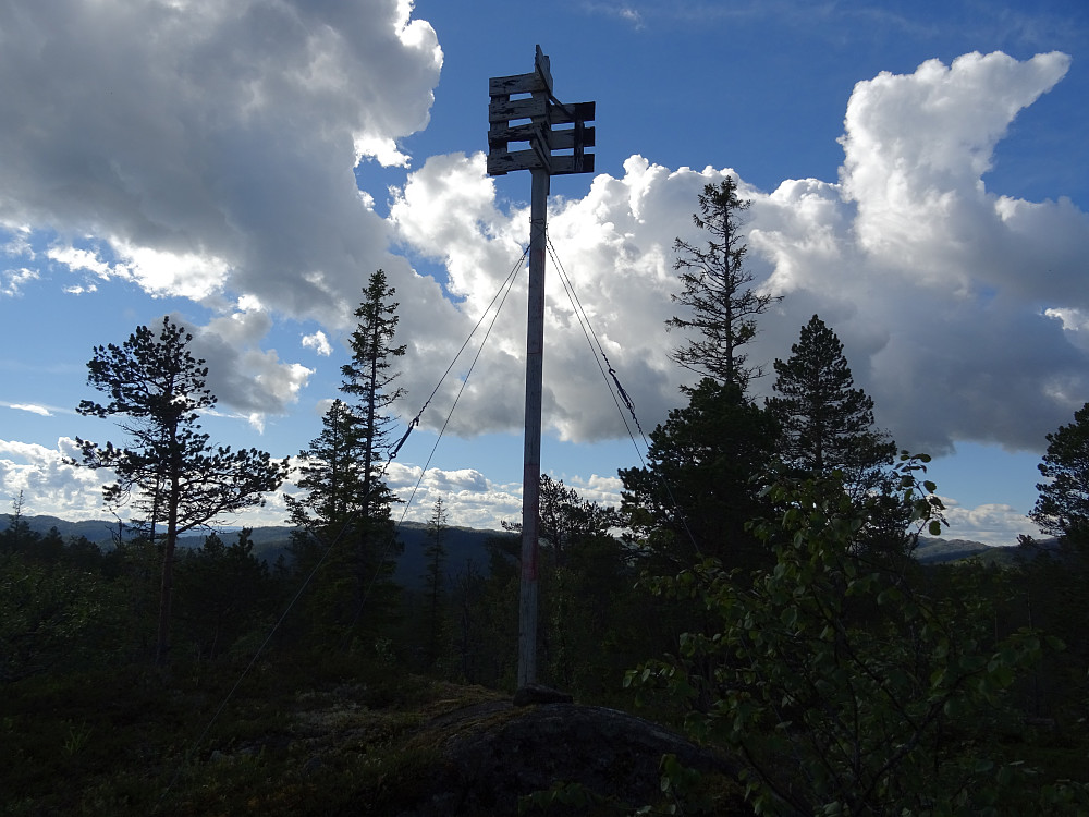 Trigpunktet rager høyt på Grevåsen.