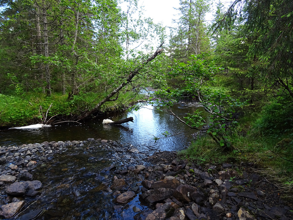 Kryssing av Sandåa