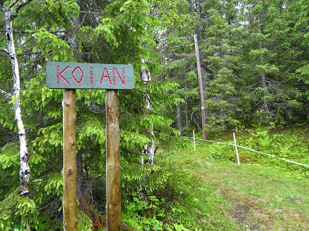 Stien kommer ut ved Koian