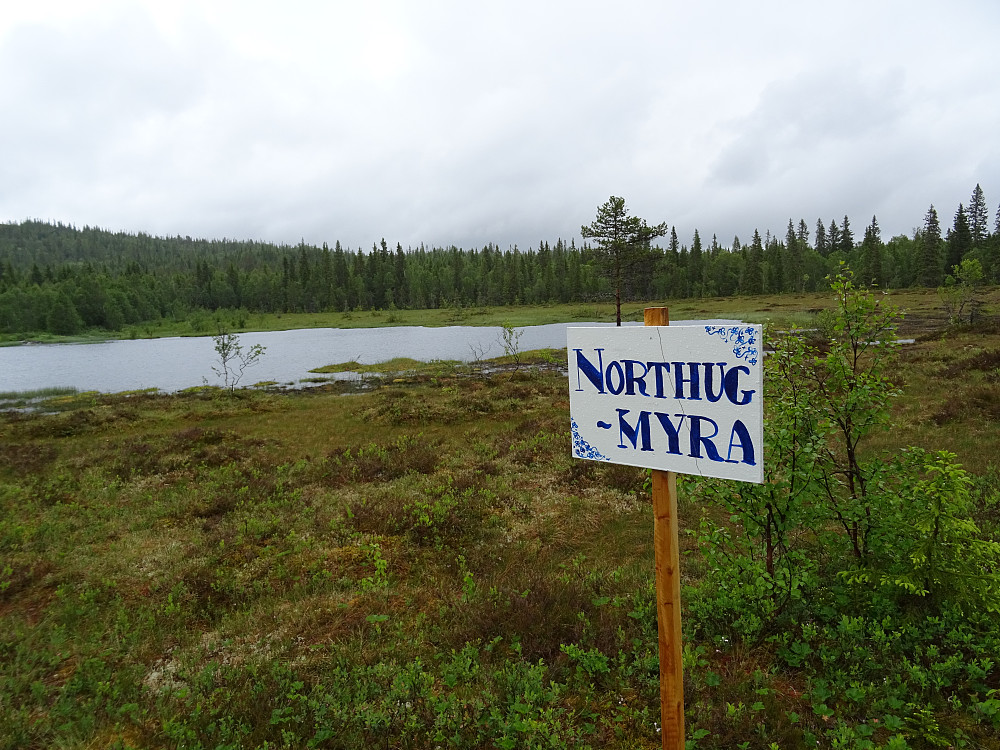 Farten økes ved Northugmyra.