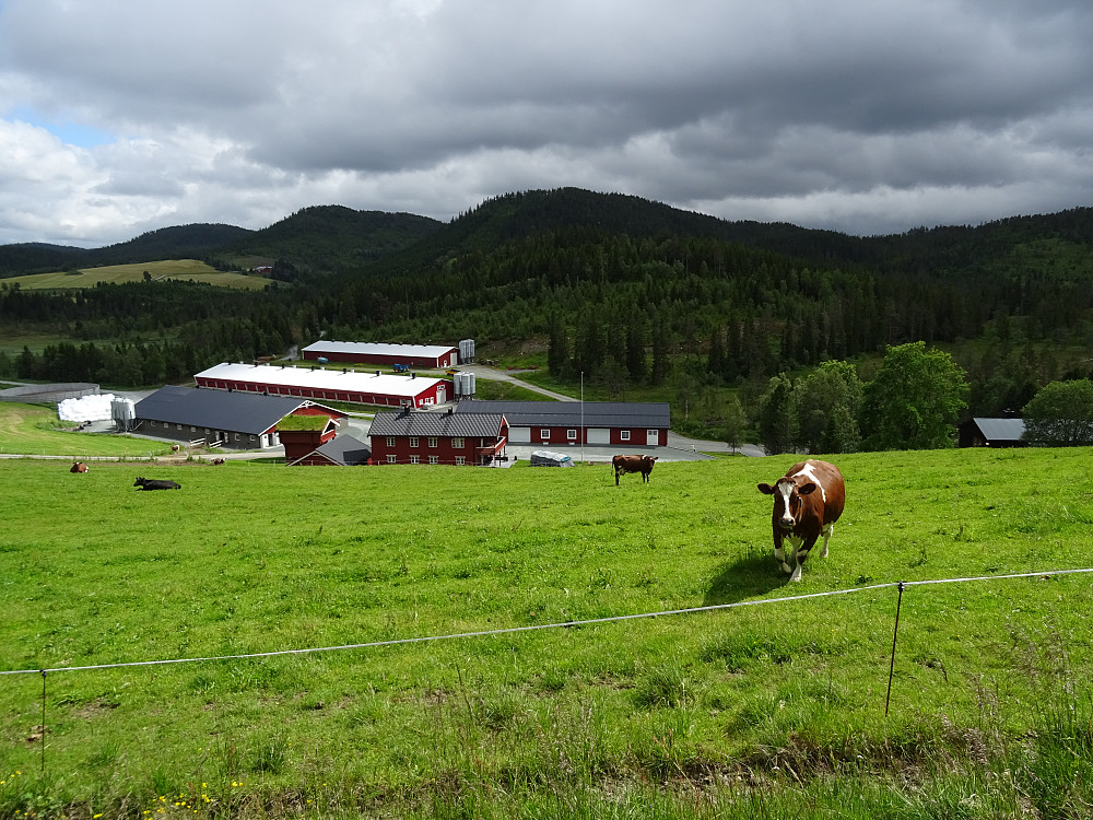 Fint landbruksområde på Næva
