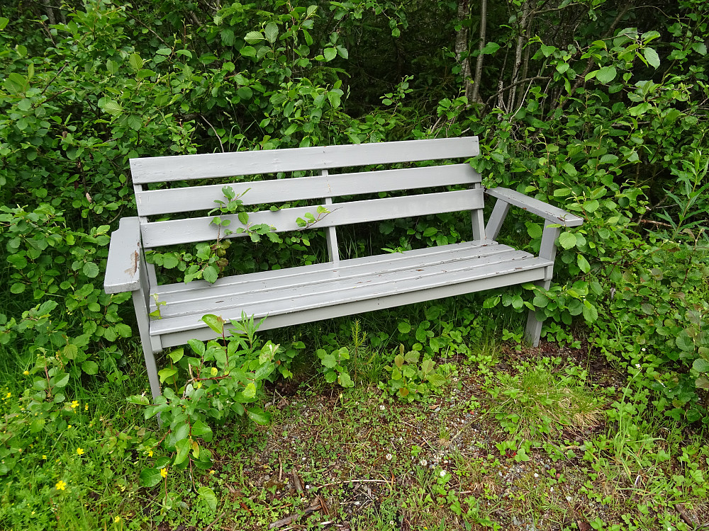 Hvilebenk på tur mot Storvollveien (bom)
