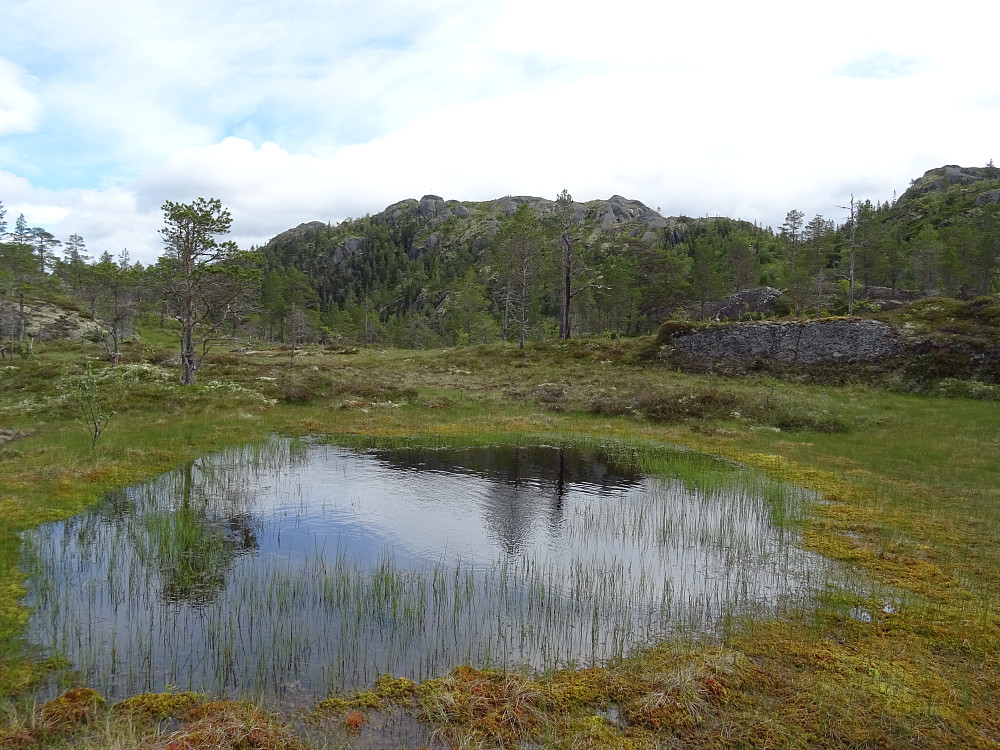 Høgskarven i sikte