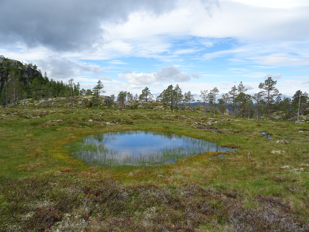 Åpent myrterreng før toppen av Høgskarven