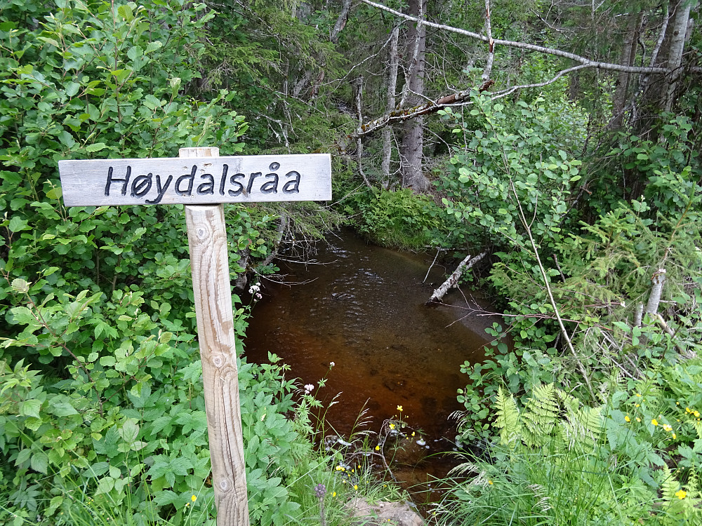 Parkerte like før dette skiltet